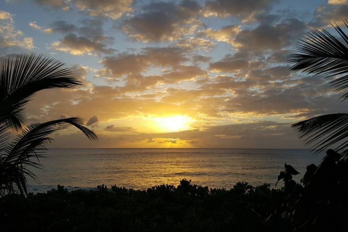 Best Time to Visit Barbados: A Month-by-Month Guide