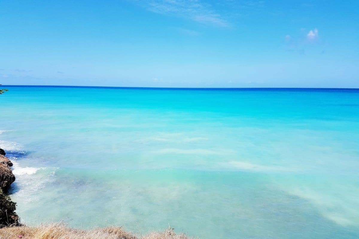 South Coast of Barbados: Local Guide