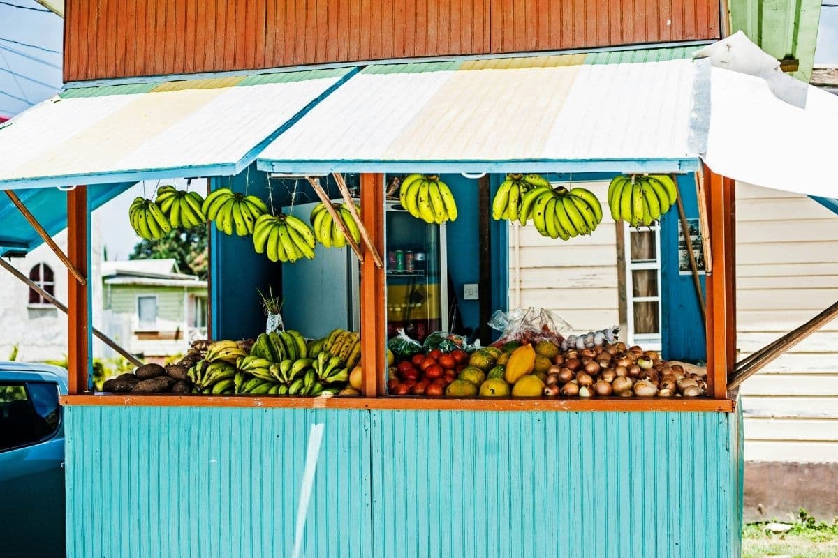 Where to Eat in Barbados: A Local's Guide