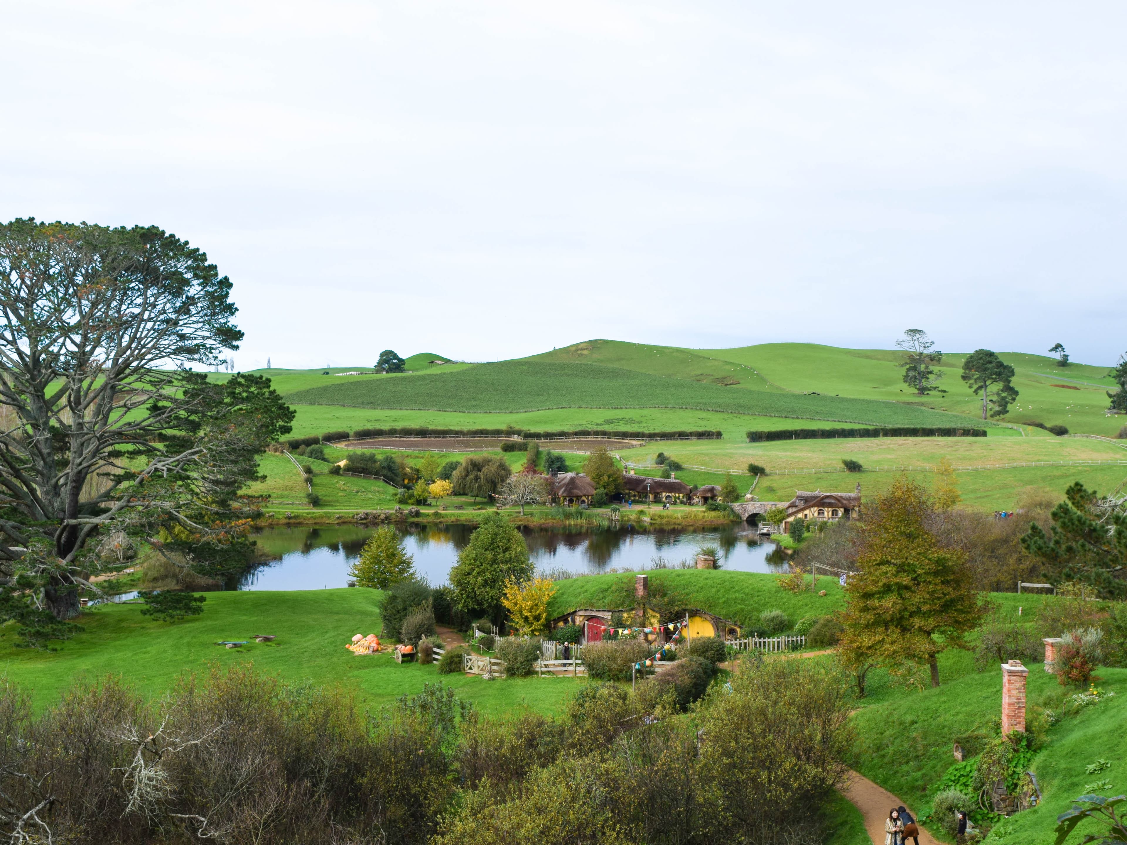 Stepping into Middle Earth — Visiting the Hobbiton Movie Set in New Zealand