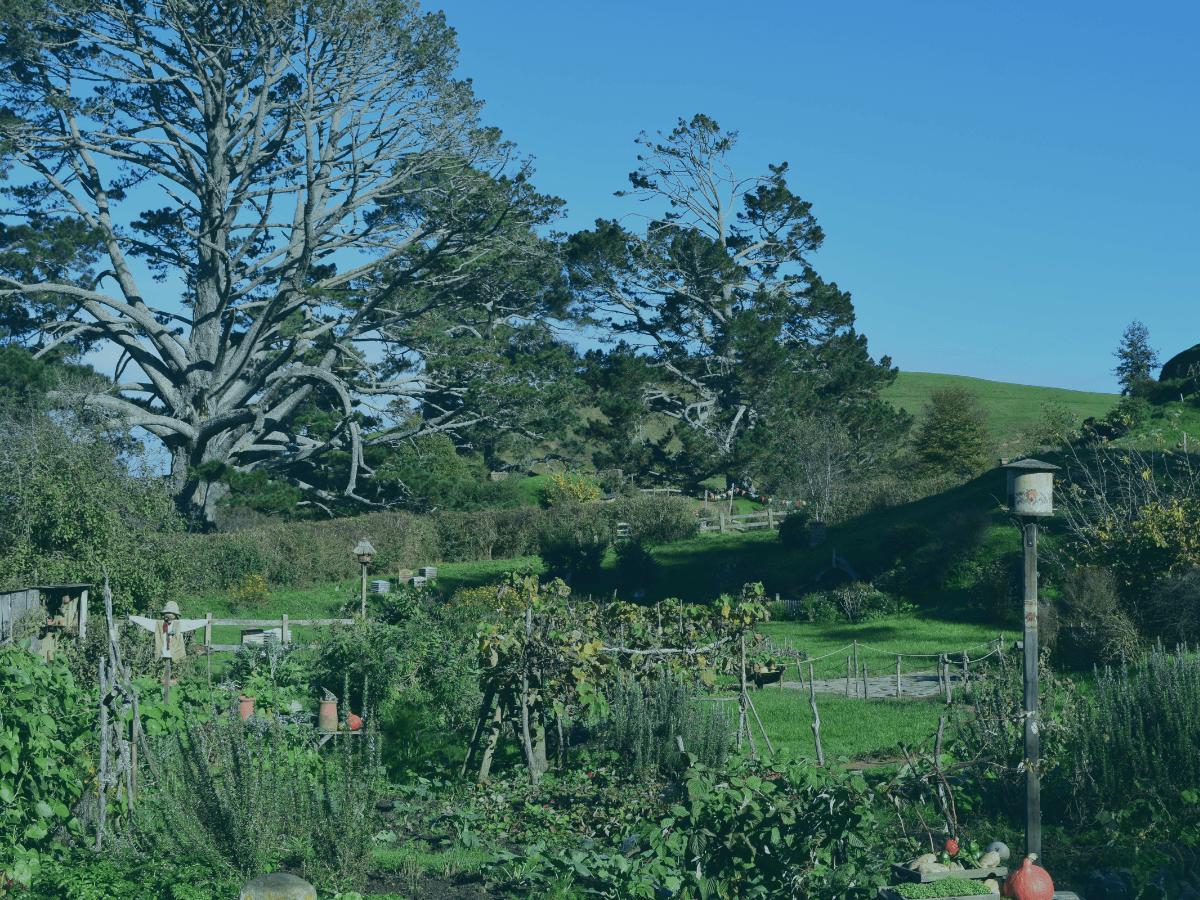 New Zealand
