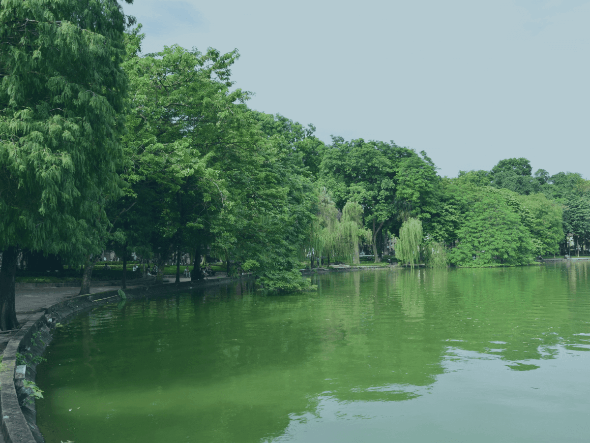 Vietnam