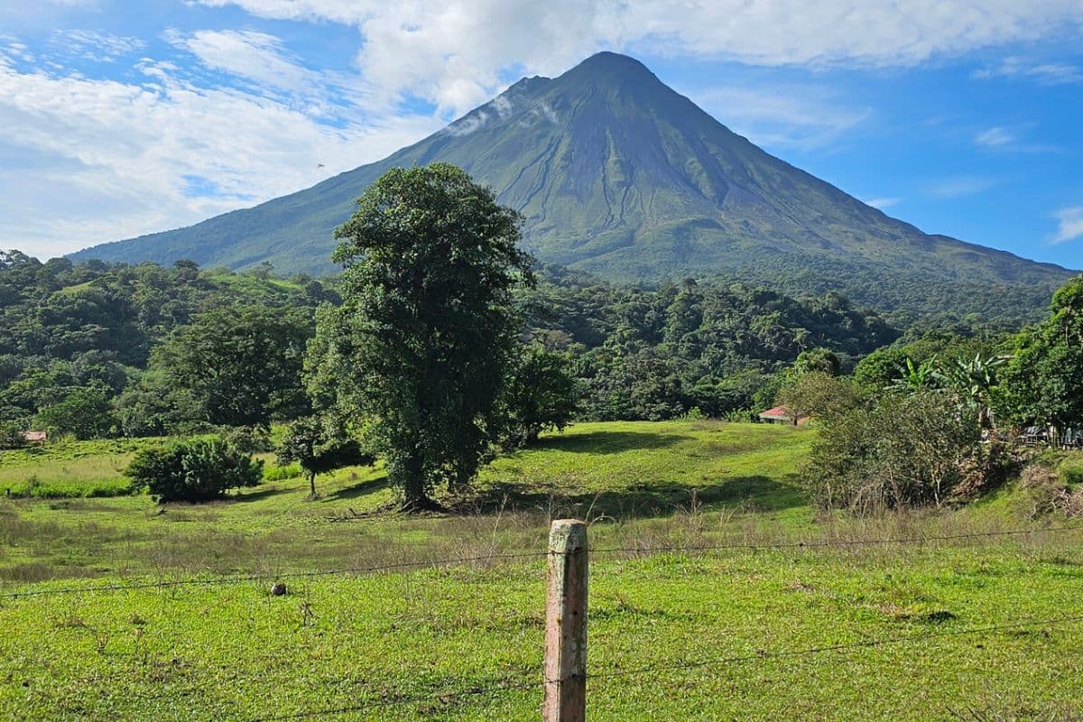 Costa Rica with a Toddler — Pura Vida and Cloud Forests