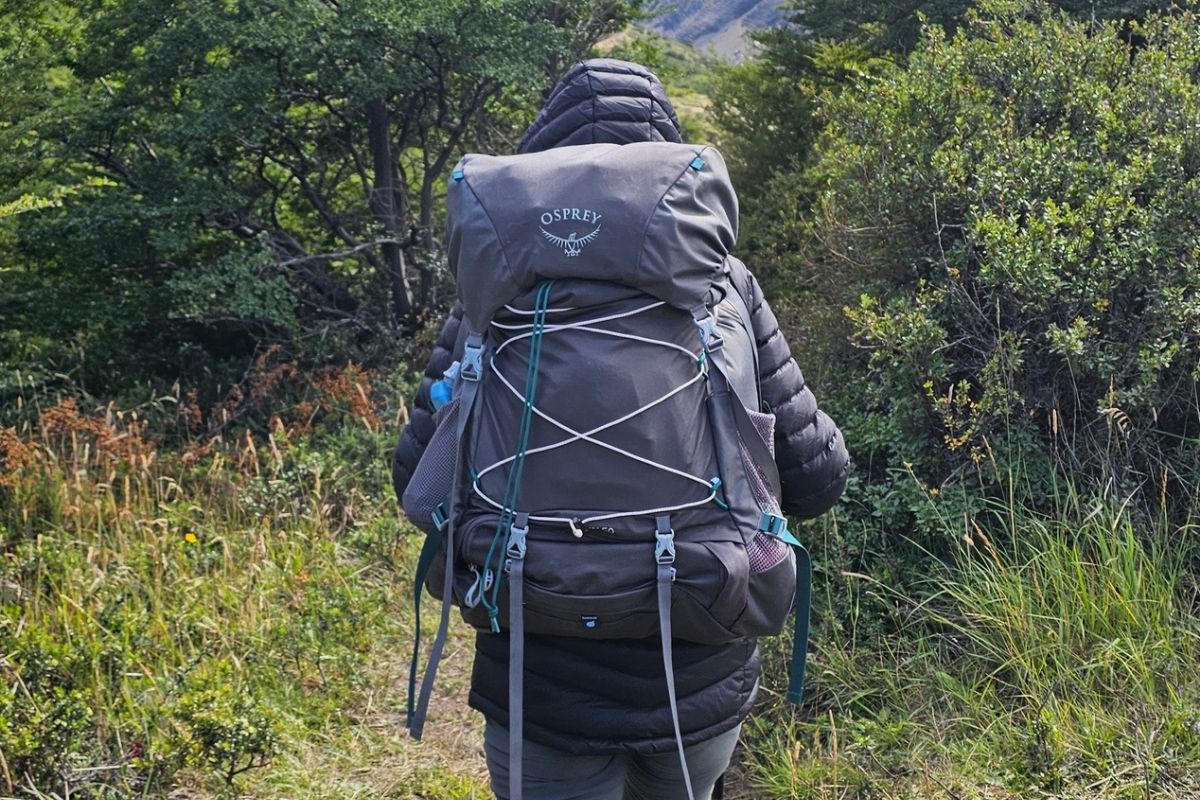 tumi backpack just in case Voyageur – ShopCGX location:83243204652-instock Color:Cherry Blossom Business and Laptop Backpacks it delivers convenience without